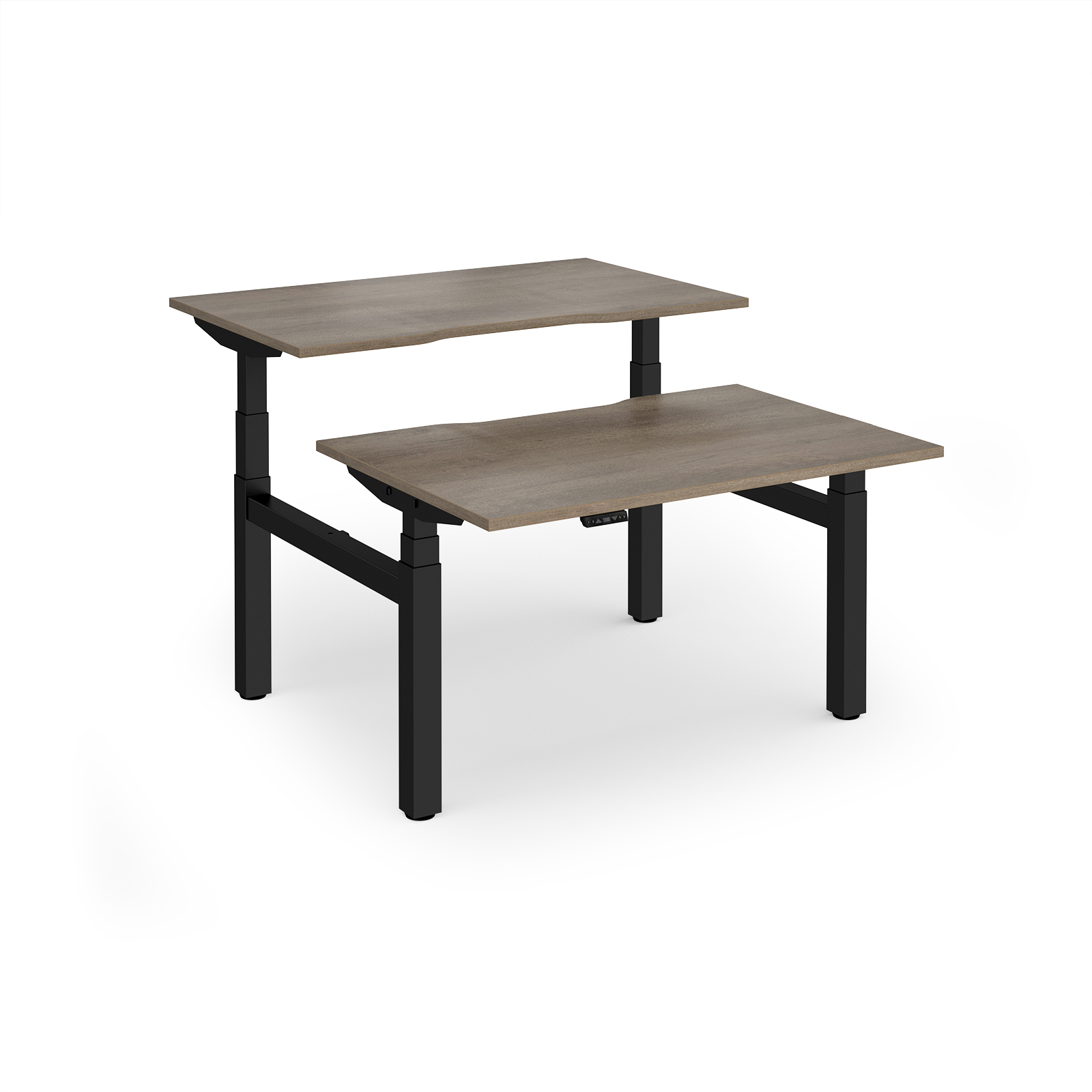 Grey Nebraska Oak