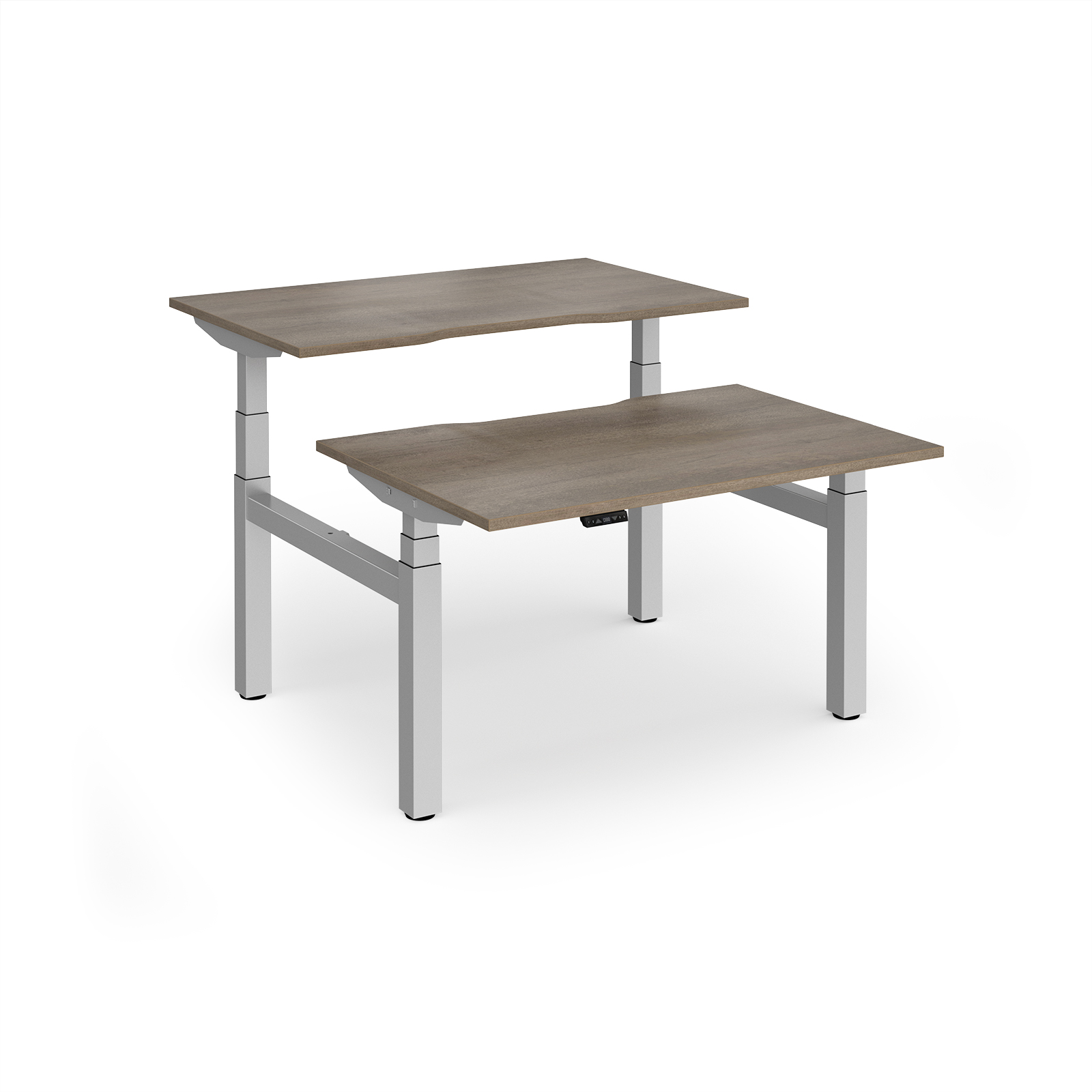 Grey Nebraska Oak
