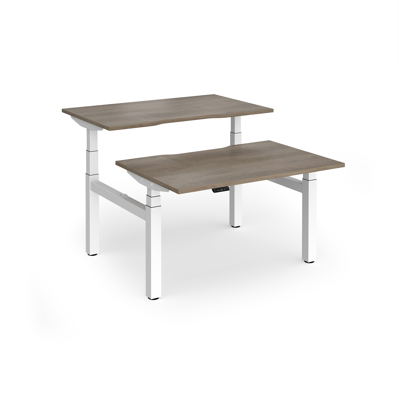 Grey Nebraska Oak