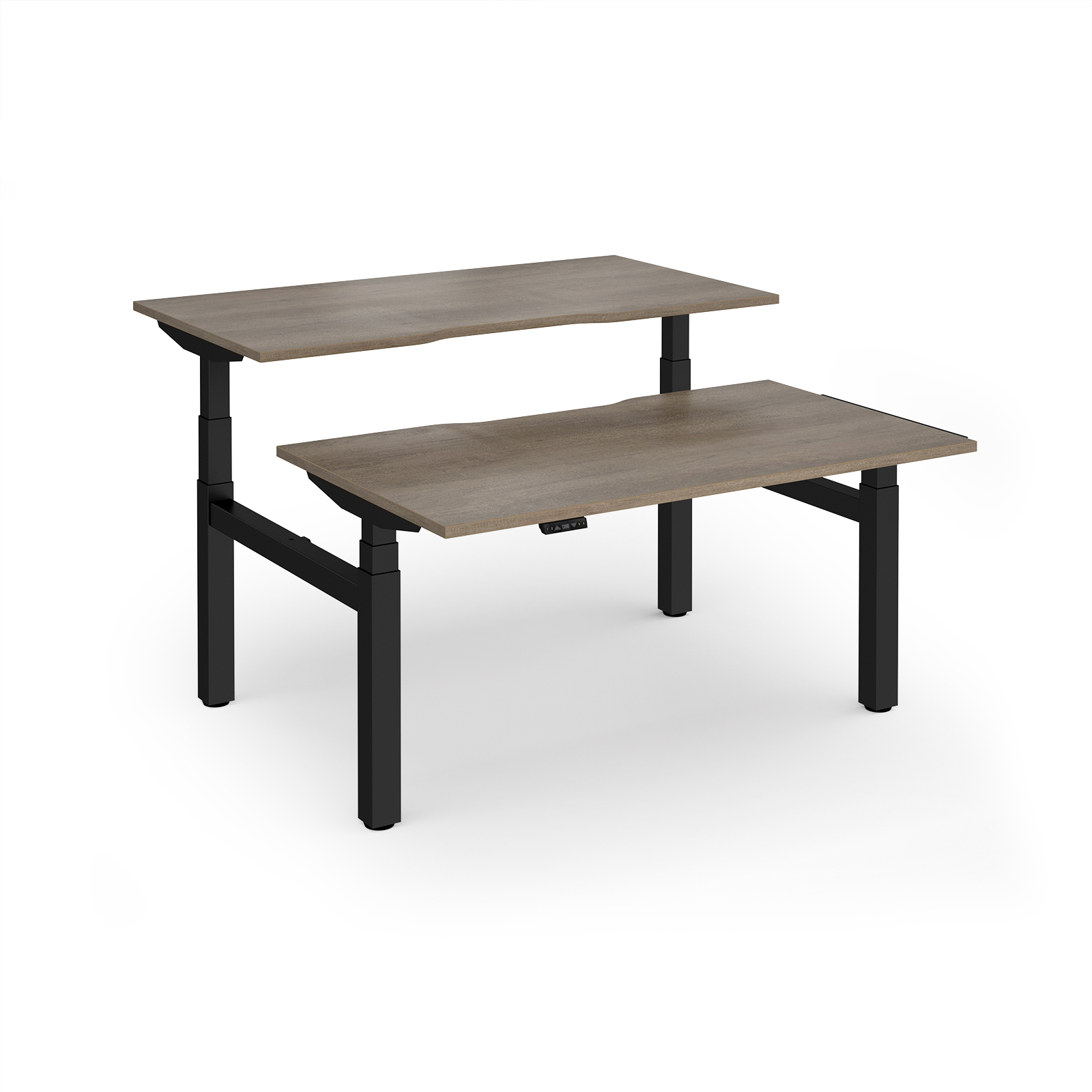 Grey Nebraska Oak