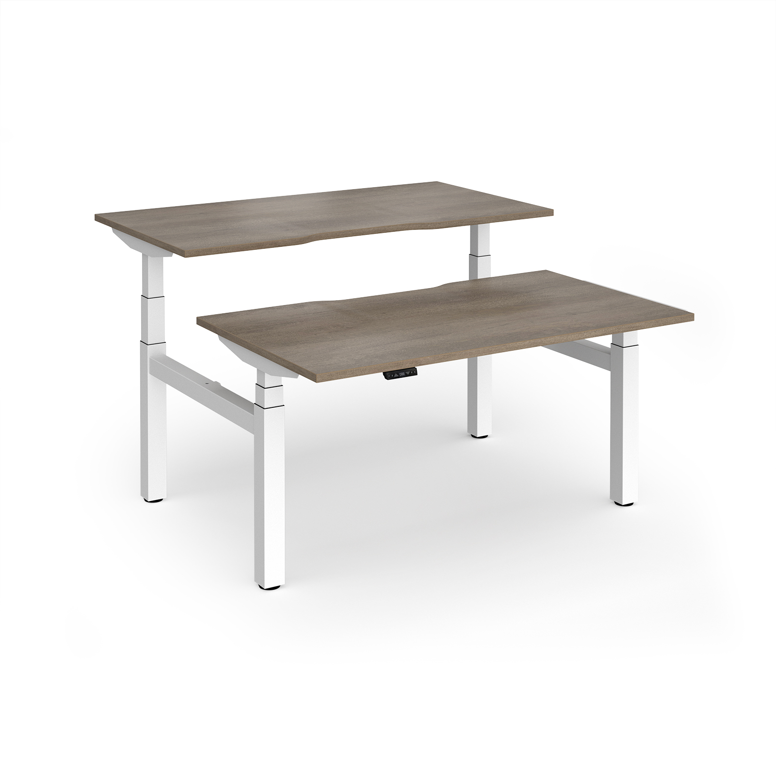 Grey Nebraska Oak