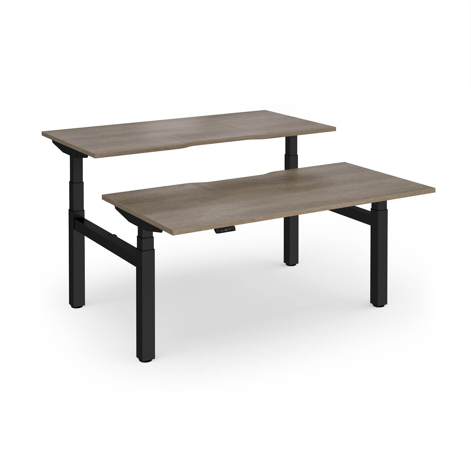 Grey Nebraska Oak