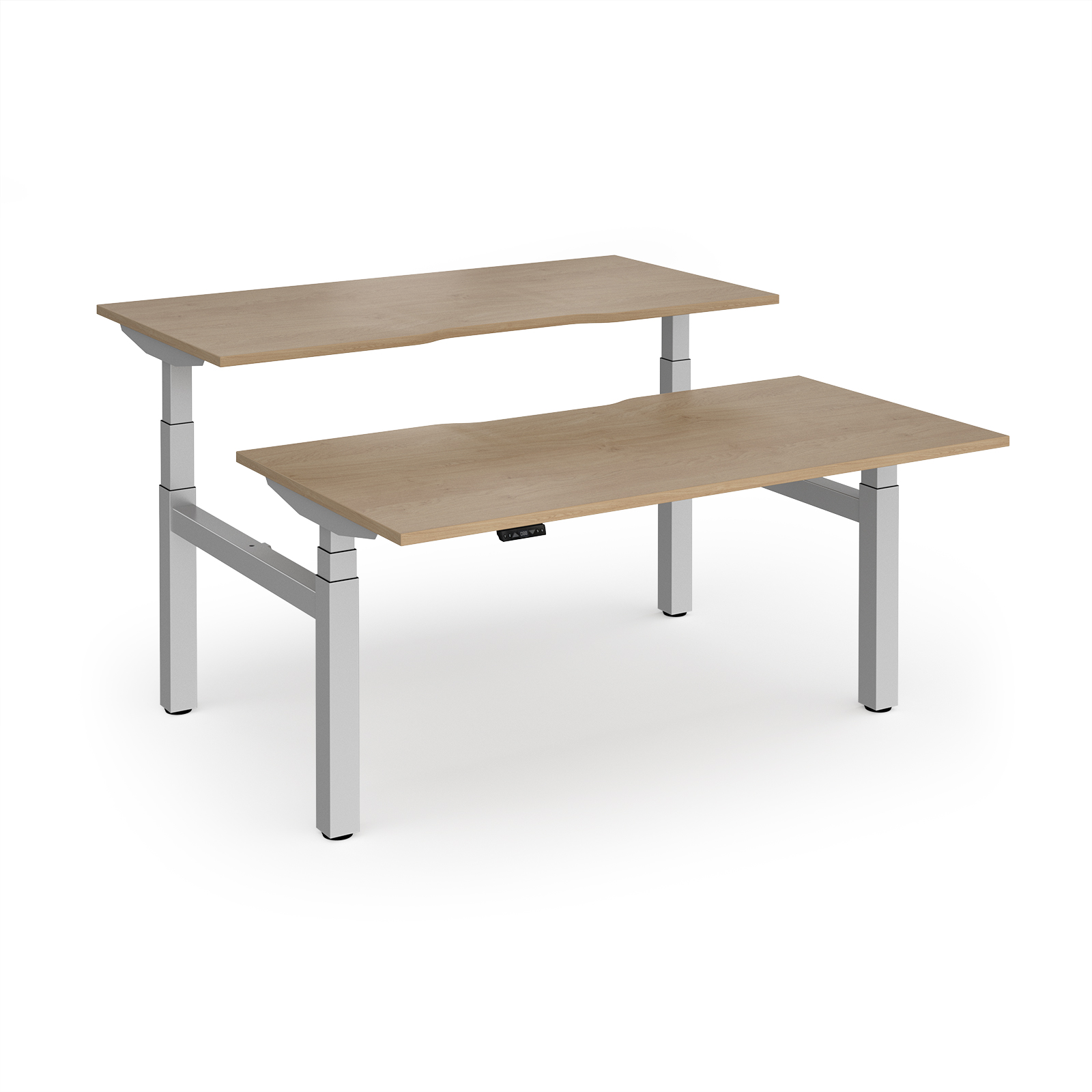 Kendal Oak