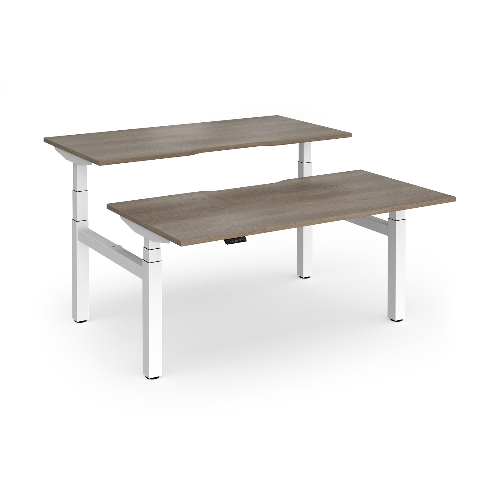 Grey Nebraska Oak