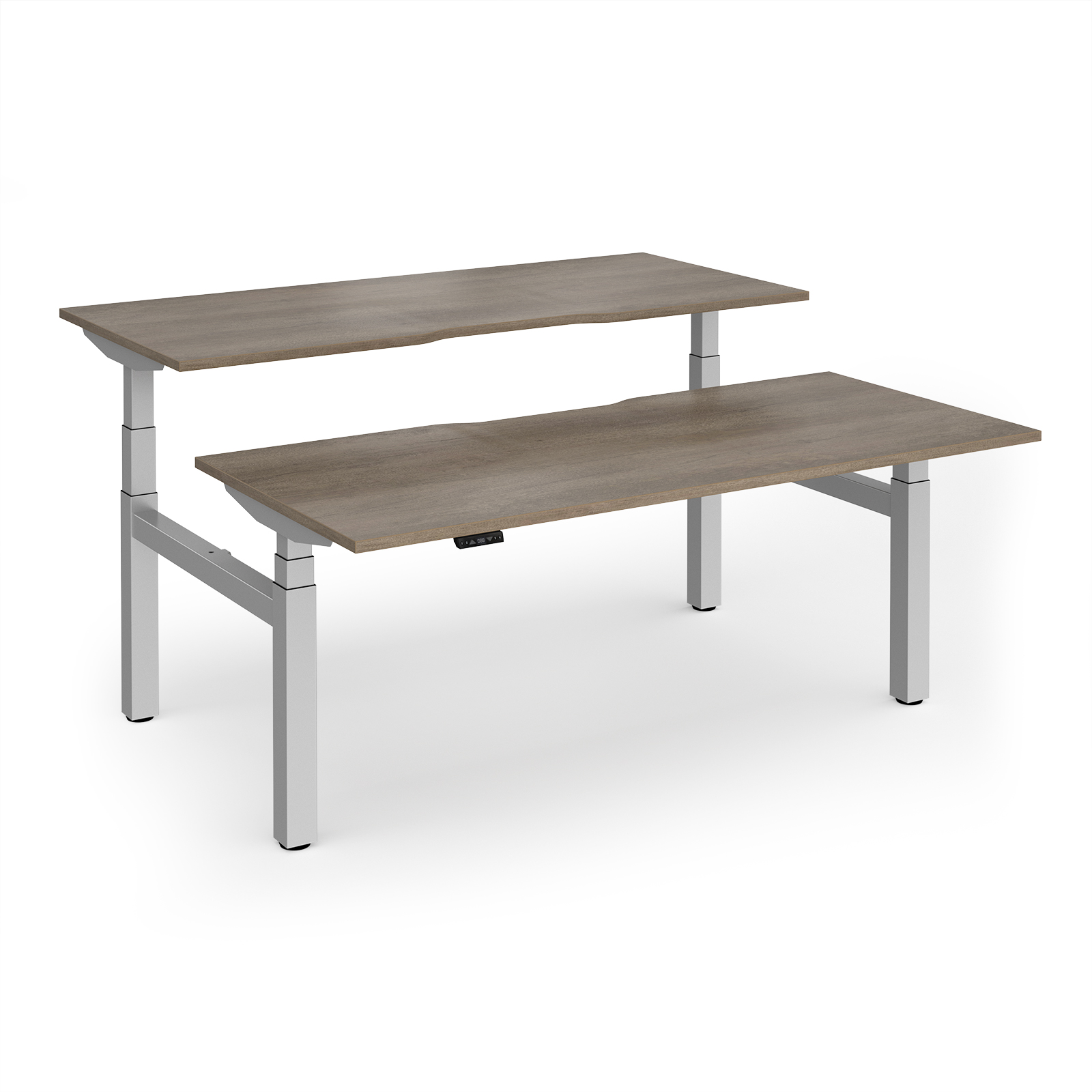 Grey Nebraska Oak