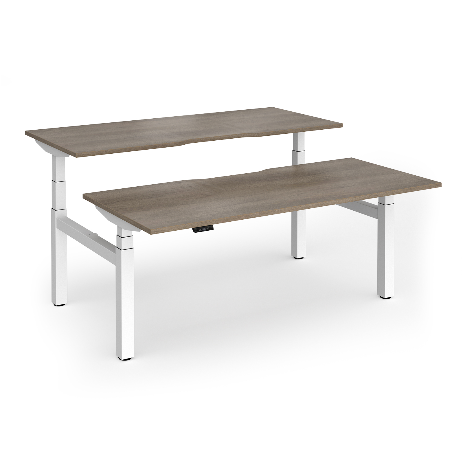 Grey Nebraska Oak