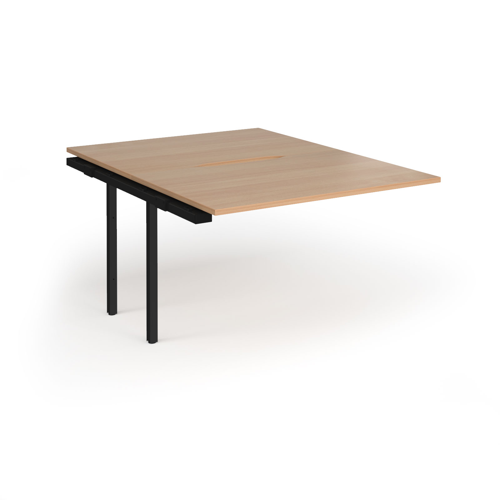 Beech (2)