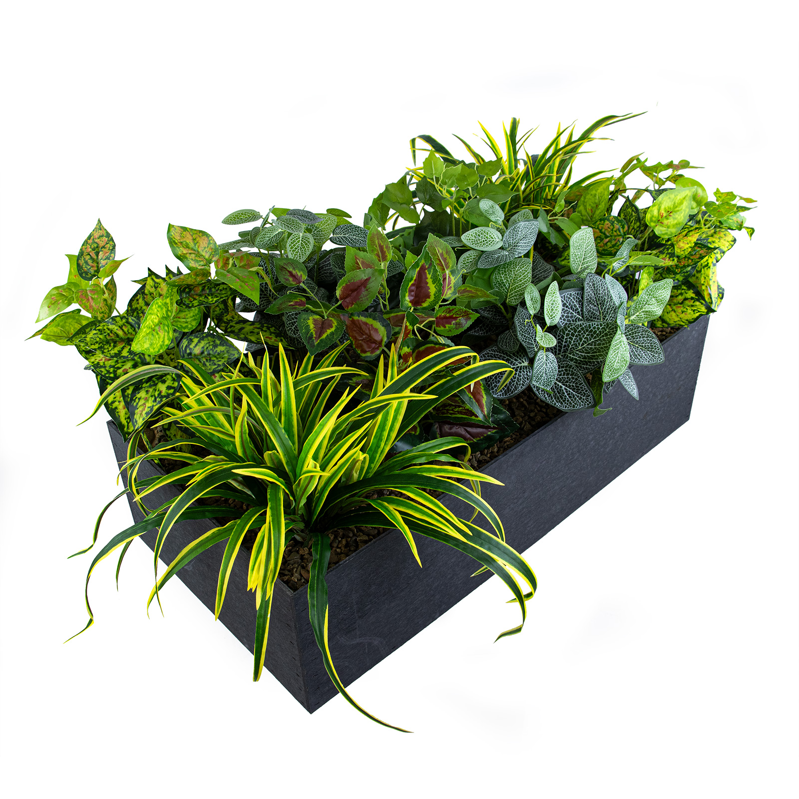 Product (6)