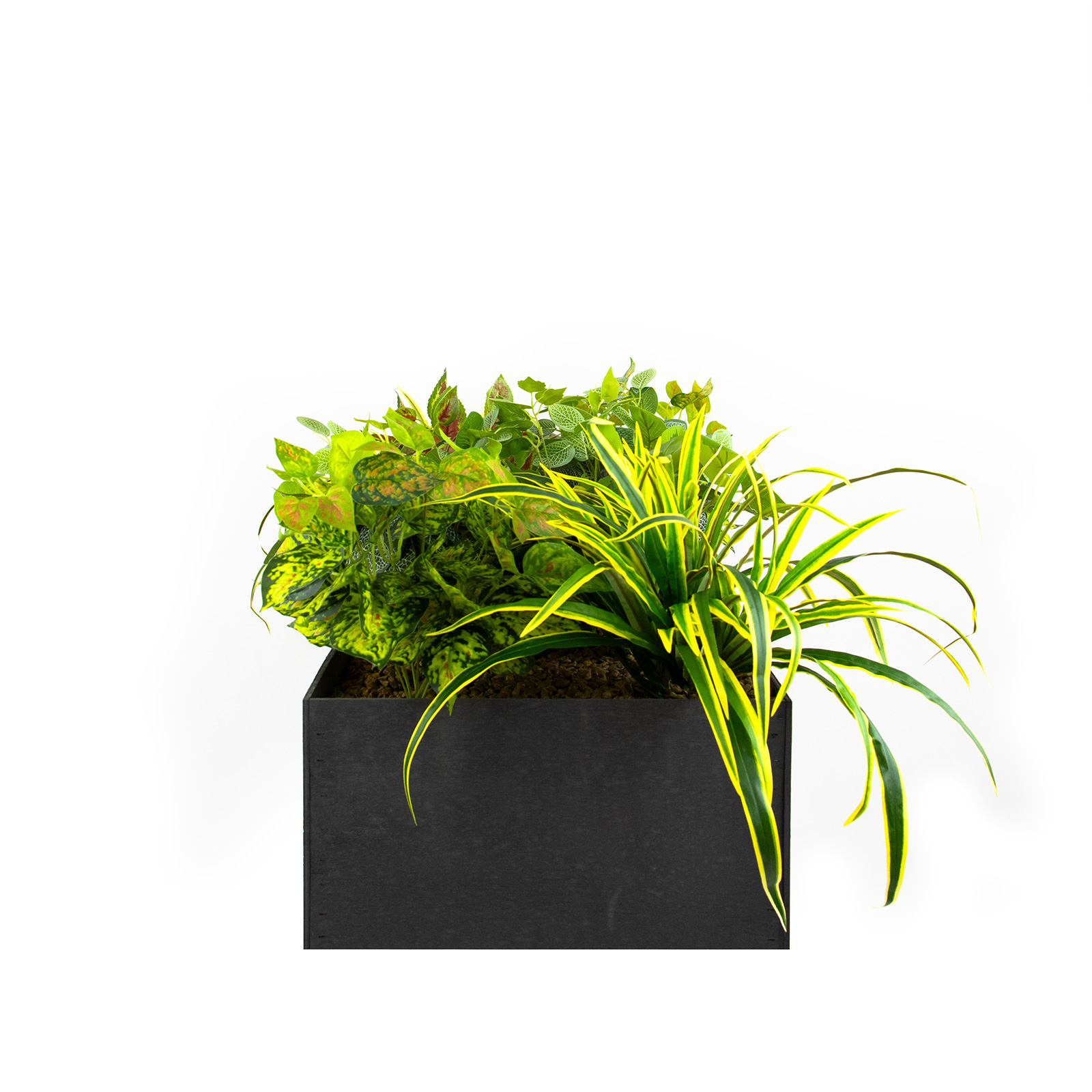 Product (9)