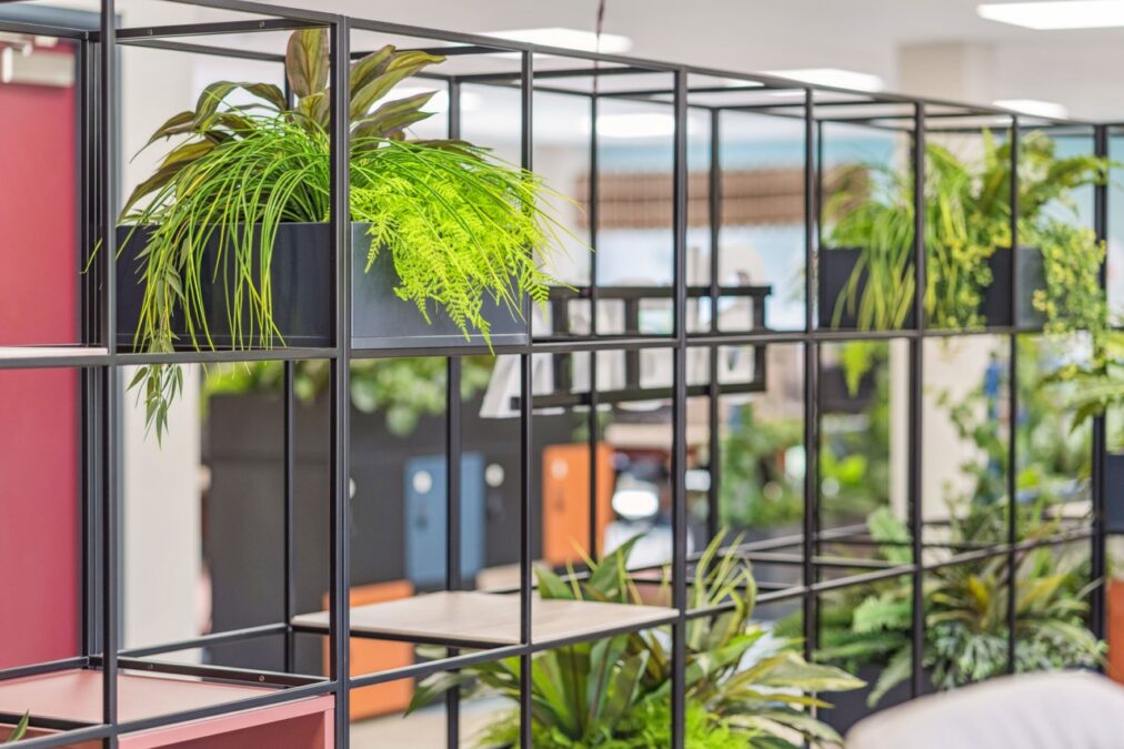 Creating a Vibrant and Functional Workplace with Proici Commercial Interiors