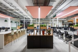 Commercial Office Fit-Out, image 2