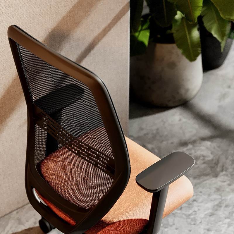Hout - Black in a warm contemporary interior
