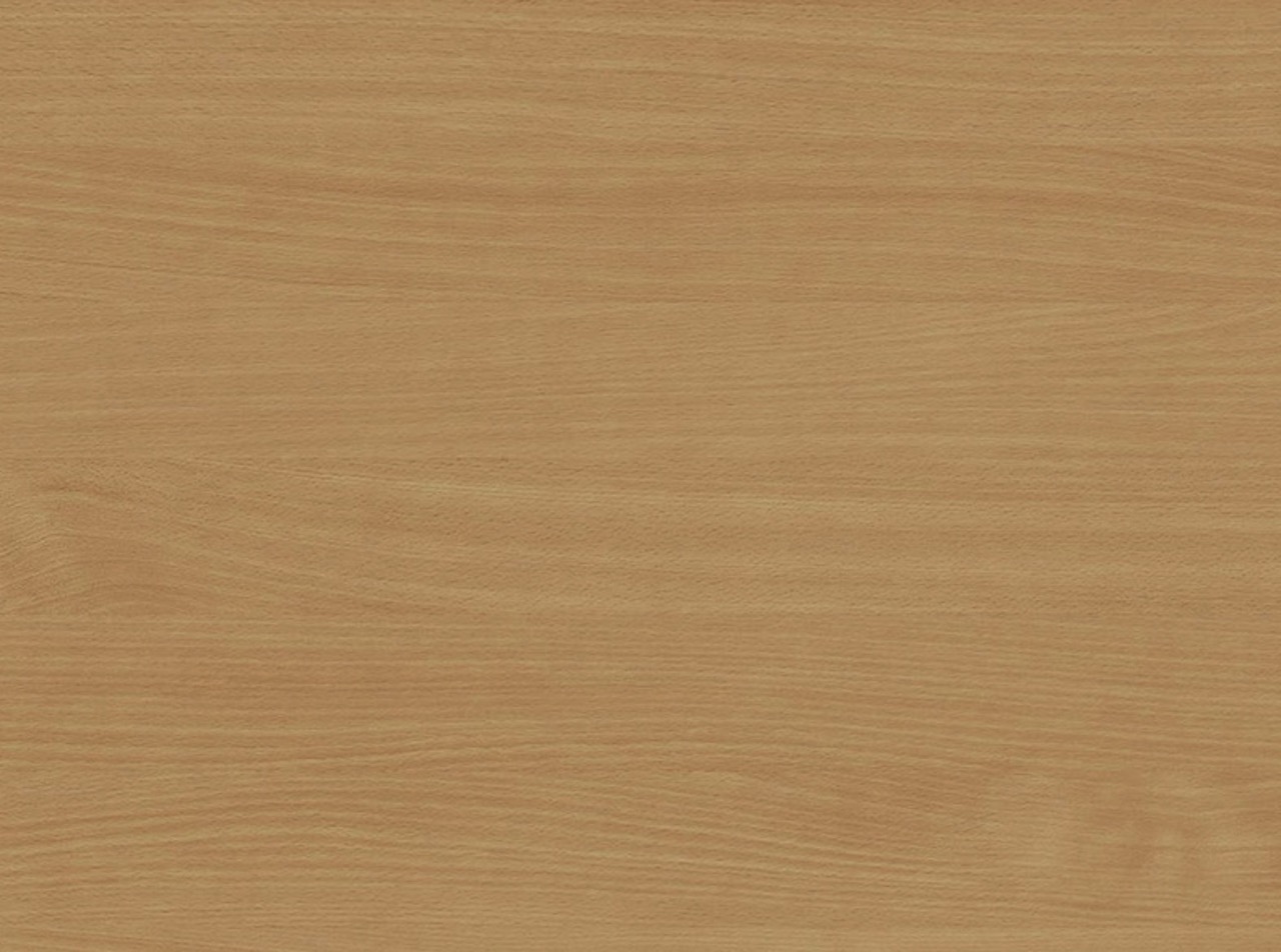 Beech